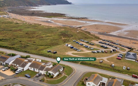 Sea Thrift at Widemouth Bay: Coast, Sea, Shore, Ocean, Beach, Bay