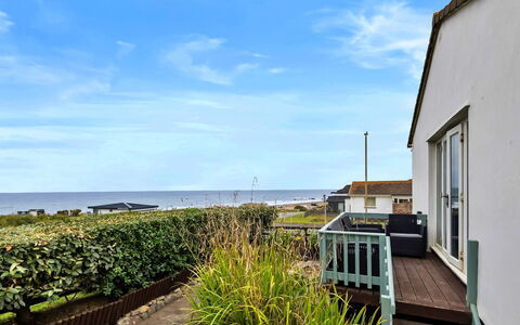 Sea Thrift at Widemouth Bay: Sea, Coast, Ocean, Shore, Fence, Beach, Balcony, Porch, Walkway, Home Fencing