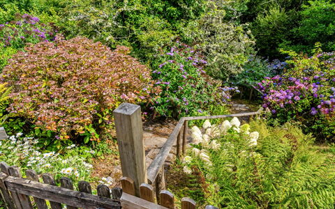 Millook Water: Flower, Green, Leaf, Vegetation, Garden, Shrub, Plant Community, Groundcover, Pink, Spring