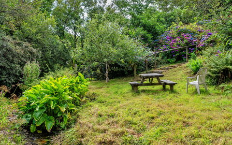 Millook Water: Nature, Vegetation, Shrub, Garden, Plant Community, Land Lot, Groundcover, Rural Area, Spring