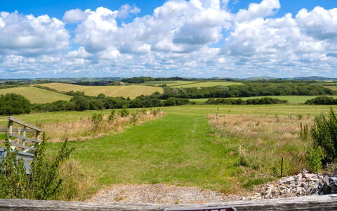 Olive Tree at Widemouth Bay: Sky, Blue, Cloud, Grass, Green, Natural Environment, Grassland, Natural Landscape, Plain, Ecoregion