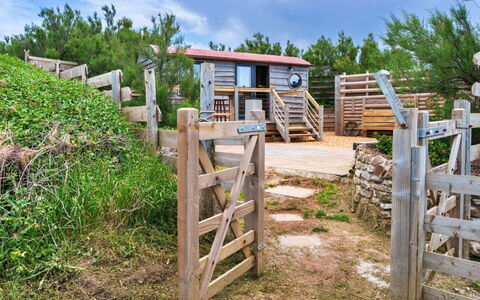 Manderley: Wood, Land Lot, Rural Area, Fence, Cottage, Garden, Landscaping, Hardwood