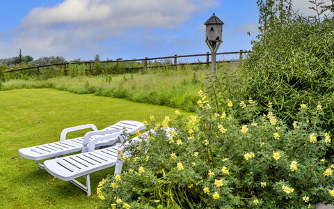 Goose, Quinceborough Farm: Yellow, Shrub, Grassland, Land Lot, Meadow, Garden, Cottage, Prairie, Wildflower