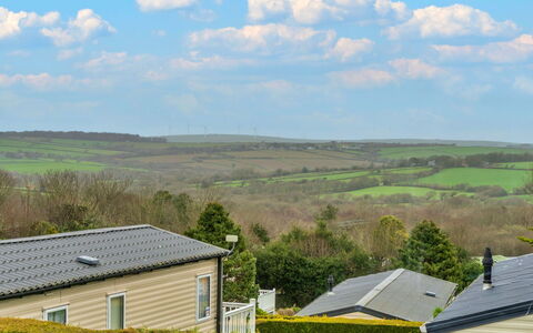 Pine Forest Lodge: Grass, Vegetation, Shrub, Landscape, Grassland, Land Lot, Plant Community, Roof, Plain, Human Settlement
