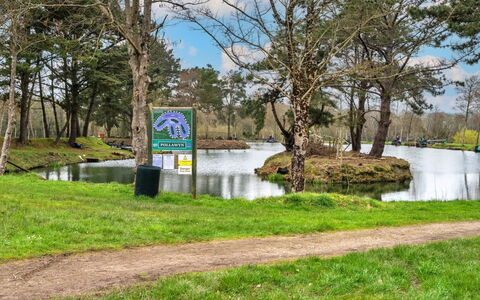Pine Forest Lodge: Water, Nature, Bank, Watercourse, Pond, Lake, Nature Reserve, Reservoir, Park