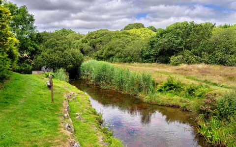 Stargazey: Water, Water Resources, Body Of Water, Grass, Green, Natural Landscape, Natural Environment, Nature, Watercourse