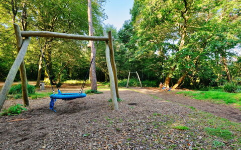 St. Ives 637: Tree, Nature, Natural Environment, Wood, Outdoor Play Equipment, Woodland, Playground Slide, Trunk, Forest, Garden