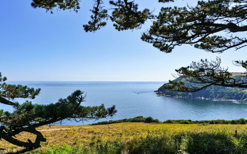 The Old Vicarage: Blue, Water, Green, Body Of Water, Leaf, Vegetation, Natural Landscape, Coast, Coastal And Oceanic Landforms, Sea