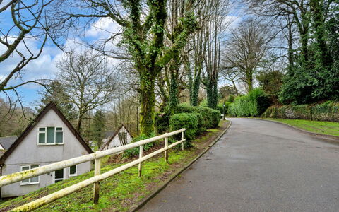 Toblerone Lodge: Branch, Tree, Leaf, Green, Grass, Road Surface, Vegetation, Road, Shrub