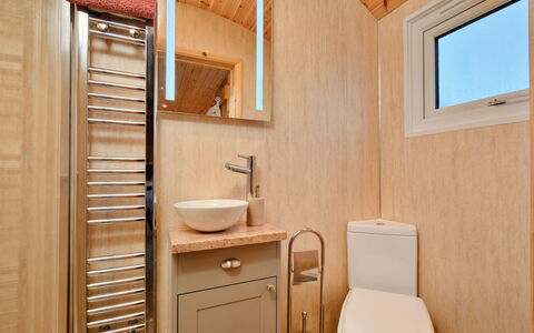 Demelza Shepherd'S Hut: Wood, Flooring, Plumbing Fixture, Floor, Interior Design, Bathroom, Plumbing, Room, Toilet, Wood Stain