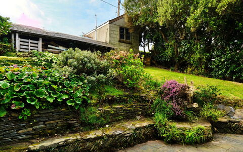 The Cuddy: Green, Wall, Garden, Shrub, Plant Community, Groundcover, Stone Wall, Spring, Landscaping
