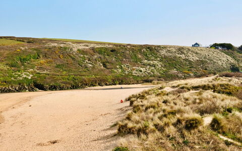 The Cuddy: Natural Environment, Ecoregion, Horizon, Terrain, Sand, Landscape, Plant Community, Wilderness, Shrubland, Geology