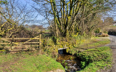 Thyme Bank: Green, Nature, Natural Environment, Grass, Leaf, Vegetation, Natural Landscape, Shrub, Landscape