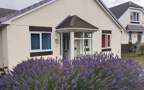 Lavender Waye: Residential Area, Home, Cottage, Garden, Lawn, Sash Window, Yard, Estate, Landscaping, Suburb
