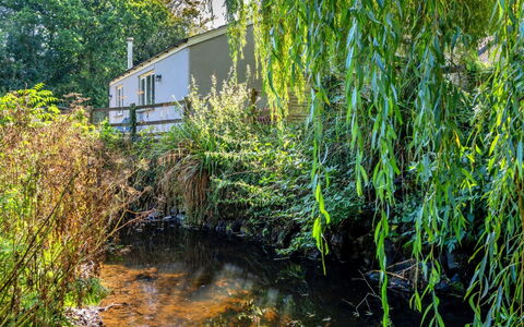 Marsh Cottage: Water, Vegetation, Watercourse, Shrub, Plant Community, Bank, Reflection, Pond, Twig