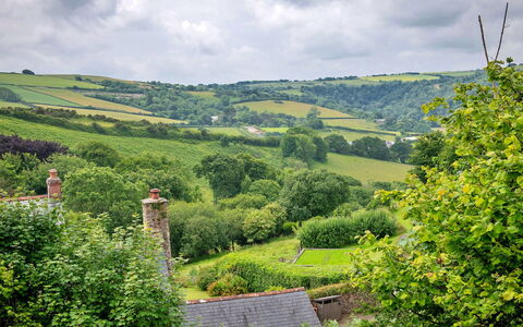 Coulscott Pipistrelle Barn: Green, Vegetation, Natural Landscape, Shrub, Landscape, Grassland, Hill, Rural Area, Highland