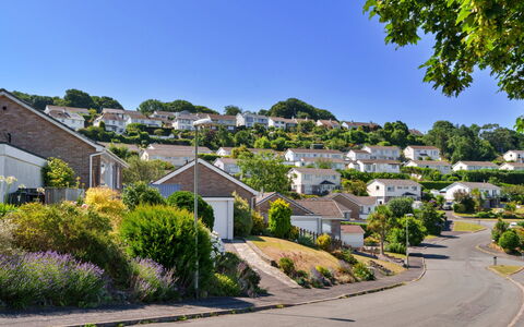 Paw'S Rest: Residential Area, House, Home, Neighbourhood, Roof, Shrub, Landscape, Suburb, Human Settlement