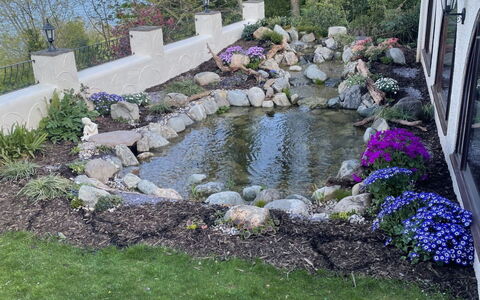 Cliff Lodge: Rock, Shrub, Garden, Groundcover, Backyard, Landscaping, Water Feature, Yard, Lawn