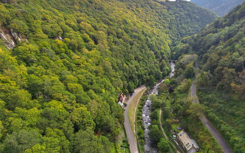 River Cottage: Nature, Natural Environment, Vegetation, Shrub, Forest, Landscape, Highland, Plant Community, Jungle, Thoroughfare