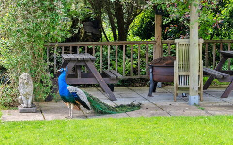 Trimstone Manor - Paddock Cottage: Garden, Outdoor Bench, Lawn, Yard