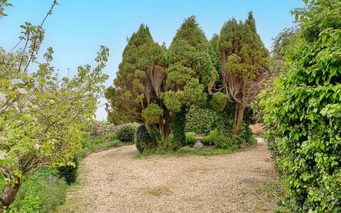 Heselwood: Green, Leaf, Vegetation, Shrub, Garden, Plant Community, Groundcover, Woody Plant, Botanical Garden