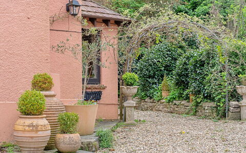 Heselwood: Shrub, Flowerpot, Garden, Spring, Landscaping, Houseplant, Flagstone, Walkway, Brick