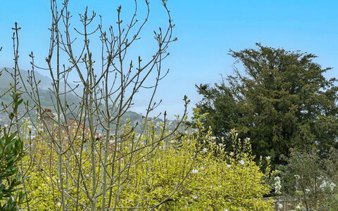 The Heselwood Coach House: Sky, Branch, Nature, Leaf, Vegetation, Yellow, Twig, Spring, Woody Plant