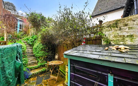 Old Town Cottage, Hastings: Shrub, Garden, Cottage, Backyard, Yard, Landscaping, Flowerpot, Houseplant