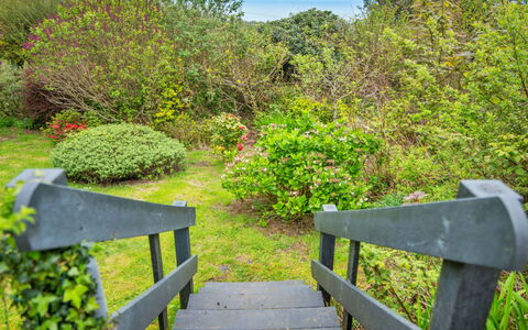Arfron: Green, Leaf, Nature, Vegetation, Natural Landscape, Shrub, Plant Community, Garden, Groundcover, Nature Reserve