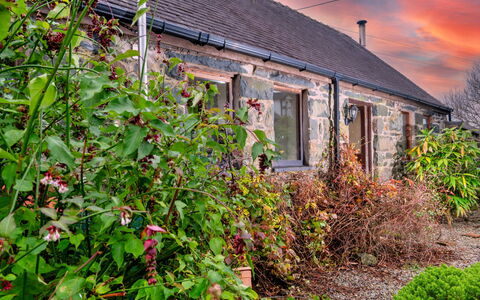 Pandy Farmhouse: Shrub, Cottage, House, Roof, Home, Garden, Farmhouse, Yard, Landscaping, Backyard