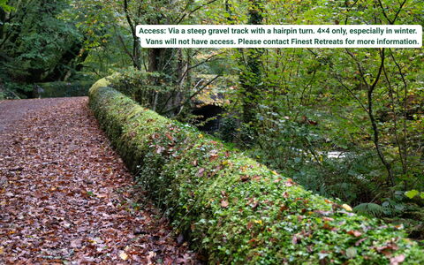 Waen Fechan: Leaf, Green, Shrub, Groundcover, Plant Community, Hedge, Garden, Soil, Herb