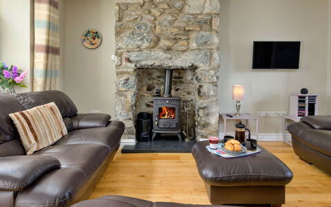 Artro View: Furniture, Flooring, Hearth, Interior Design, Wood, Floor, Living Room, Room, Lighting, Wood-Burning Stove