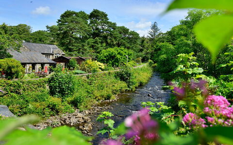 Artro View: Flower, Nature, Vegetation, Shrub, Garden, Cottage, House, Watercourse, Plant Community