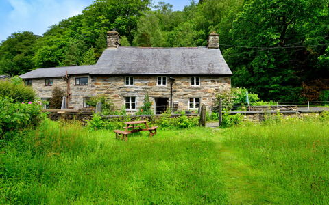 Tafarn Trip: Grass, Vegetation, Shrub, Rural Area, Grassland, Cottage, House, Landscape, Land Lot