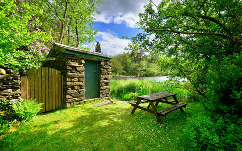 Tafarn Trip: Nature, Wood, Vegetation, Natural Landscape, Shrub, Plant Community, Garden, Rural Area, Groundcover, Spring