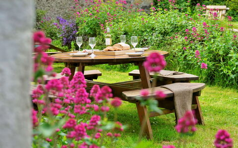 Gladstone: Flower, Furniture, Outdoor Furniture, Garden, Pink, Outdoor Table, Table, Shrub, Spring, Groundcover