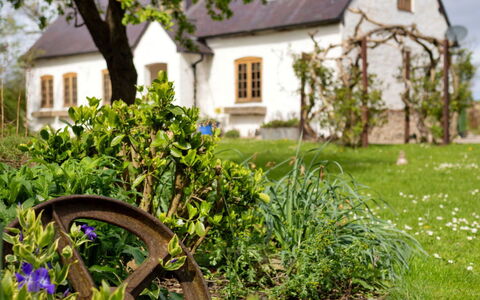 Waen Farm Cottage: Shrub, Garden, House, Cottage, Home, Farmhouse, Spring, Lawn, Landscaping