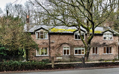 Dolhyfryd Lodge: Branch, Wall, Building, Window, House, Residential Area, Neighbourhood, Home, Twig, Human Settlement