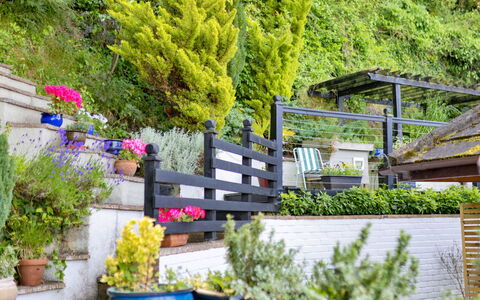 Yr Ardd Bellaf: Flower, Shrub, Garden, Flowerpot, Groundcover, Spring, Landscaping, Houseplant, Yard