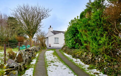 Merddyn Cottage: Shrub, House, Cottage, Groundcover, Driveway, Slope, Garden, Village, Landscaping