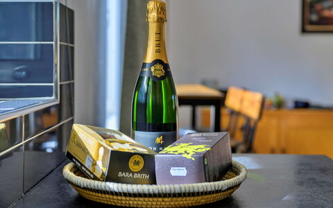 Dyffryn: Bottle, Glass Bottle, Wine Bottle, Drinkware, Champagne, Wine