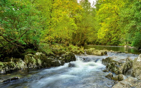 Dyffryn: Water Resources, Water, Watercourse, Body Of Water, Branch, Nature, Leaf, Green, Stream, Natural Environment