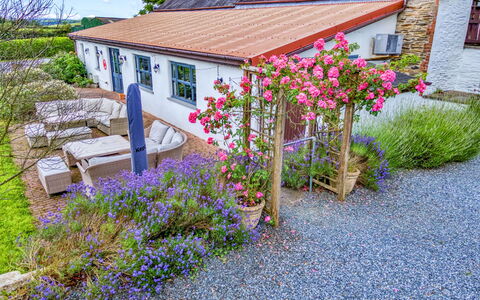 Jabajak Vineyard: Flower, Shrub, Garden, Cottage, Groundcover, Spring, Landscaping, Yard, Farmhouse
