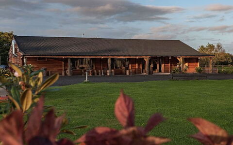 Silverwood Spa Lodge: Tableware, Serveware, Cup, Coffee Cup, Drinkware, Teapot, Food, Dishware, Teacup, Porcelain