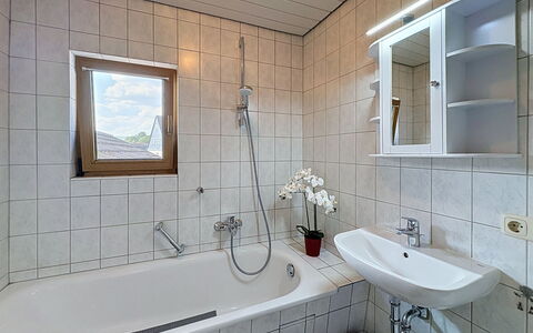 Albert: Bathroom, Plumbing Fixture, Interior Design, Flooring, Bathtub, Sink, Bathroom Sink, Floor, Tap, Plumbing