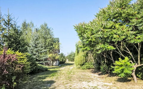 Oaza Spokoju: Vegetation, Shrub, Plant Community, Woody Plant, Garden, Evergreen, Landscaping, Larch, Shrubland