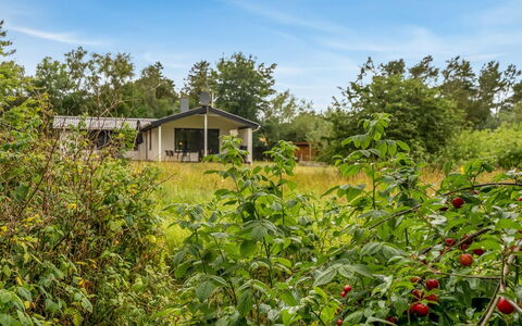 Söffren - 450M to the Fjord: Tree, Grass, Shrub, Rural Area, Land Lot, Grassland, Cottage, Plain