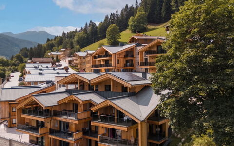 Viehhofen 1: Balcony, Lumber, Eco Hotel, Mountain Village, Hotel, Resort, Siding, Alps