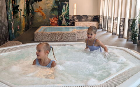 Viehhofen 1: Leisure, Comfort, Child, Jacuzzi, Hotel, Swimming Pool, Resort