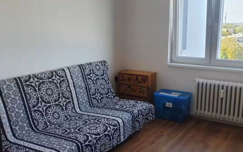 Elizabeth: Wood, Flooring, Floor, Apartment, Wood Flooring, Room, Furniture, Couch, Laminate Flooring, Living Room